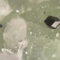 Babingtonite, Calcite, Prehnite