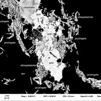 Jacutingaite, Stibiopalladinite, Gold