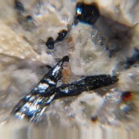 Gagarinite-(Y)