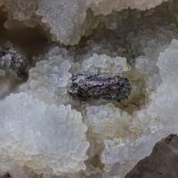 Calaverite, Quartz
