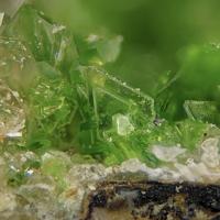 Bairdite, Quartz