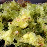Bayleyite