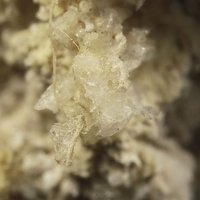 Larderellite