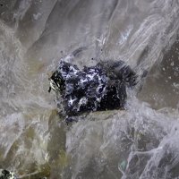 Laitakarite