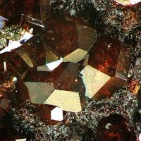 Caracolite