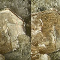 Tainiolite