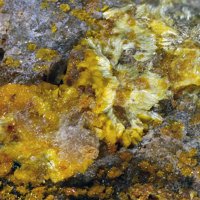 Uranopilite, Rutherfordine, Zippeite Group