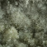 Campostriniite