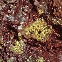 Macquartite