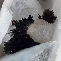Rankachite