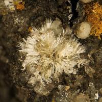 Calciodelrioite