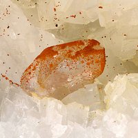 Iimoriite-(Y), Pyrite, Dolomite