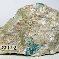 Salesite