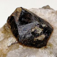 Gadolinite-(Y)