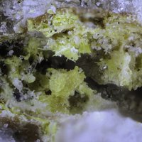 Carlosbarbosaite