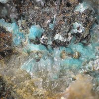 Namuwite, Gypsum
