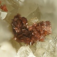 Rappoldite