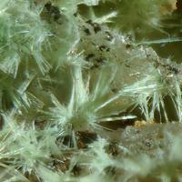 Agardite-(La)