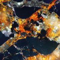 Cameronite, Tellurium, Arsenopyrite