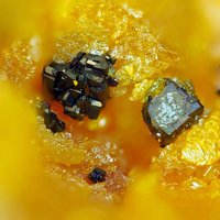 Laffittite