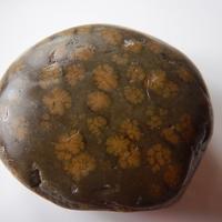 Aegirine-augite, Analcime, Andradite