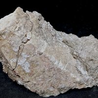 Wagnerite, Apatite