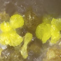 Gartrellite