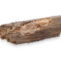 Danburite