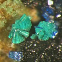 Tangdanite, Azurite, Tenorite
