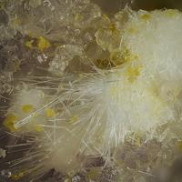 Calamaite