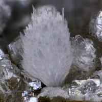 Dachiardite-Na, Dachiardite-Ca, Clinoptilolite-Ca