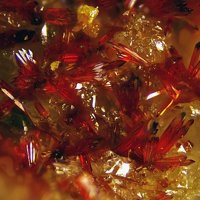 Carminite