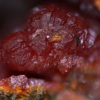 Cassedanneite