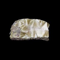 Carpholite
