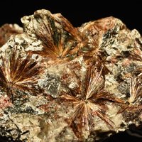 Lamprophyllite