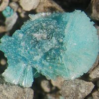 Rapidcreekite, Aragonite, Monohydrocalcite