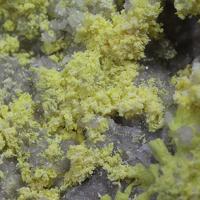 Bayleyite, Schröckingerite
