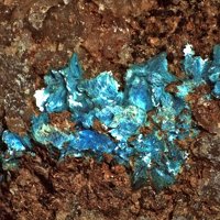 Sampleite