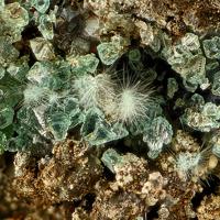 Agardite-(La), Adamite