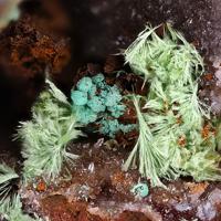 Agardite-(Y), Reichenbachite