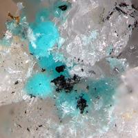 Caledonite