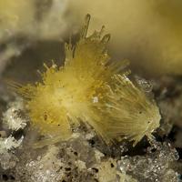 Adranosite-(Fe)