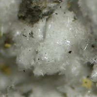 Tamarugite