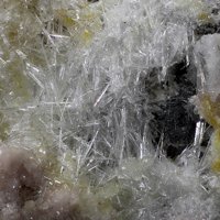 Larsenite