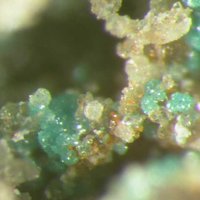 Yafsoanite, Housleyite