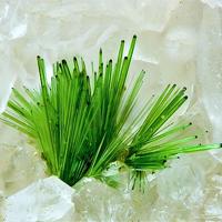 Agardite-(Ce)