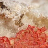 Quartz, Cinnabar, Calomel
