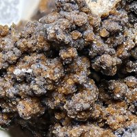 Caryopilite