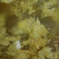 Bayleyite, Sandstone