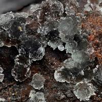 Adamite
